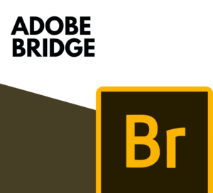 Adobe Bridge 2023 Crack & Product Key Free Download